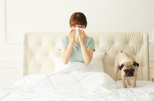강아지와 함께 침대에 있는 여성이 코를 풀고 있다.